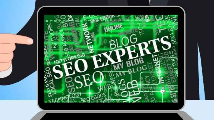 Website seo expert
